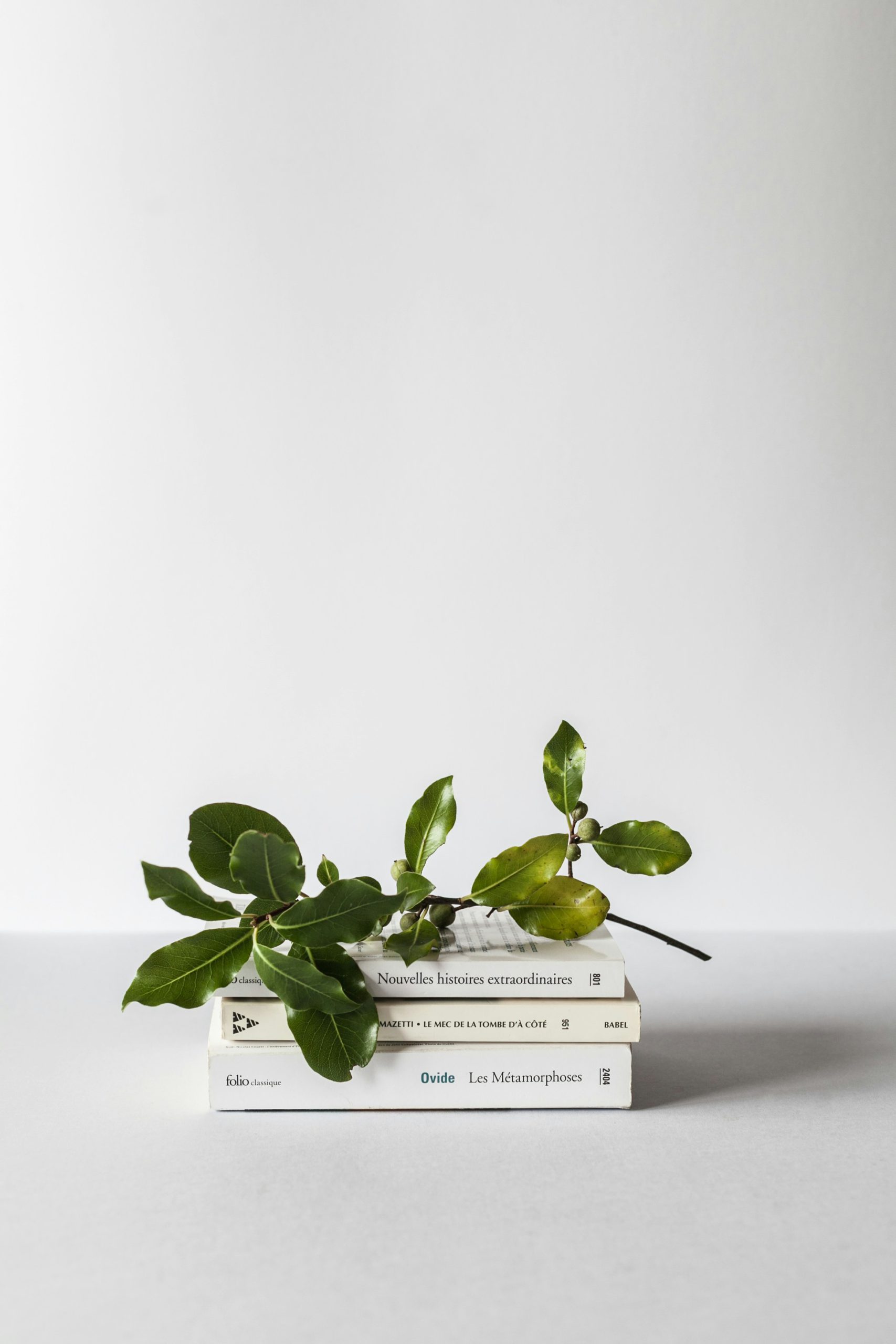 Read more about the article Warum eine Wärmepumpe? – Mehr als nur Heizen